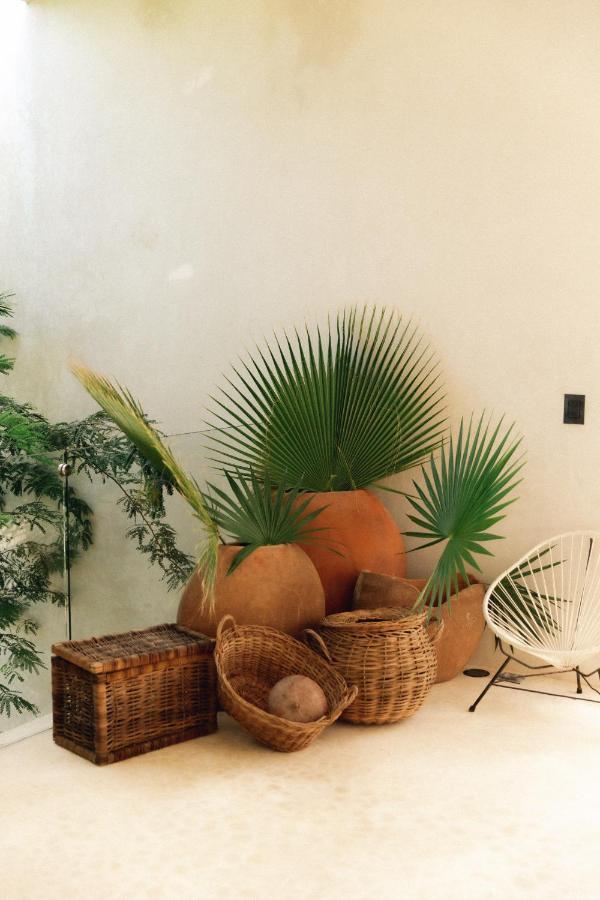 16Tulum Hotel Luaran gambar